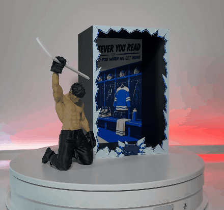 Blue Hockey Book Nook